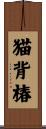 猫背椿 Scroll