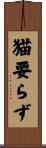 猫要らず Scroll