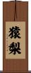 猿梨 Scroll