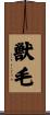 獣毛 Scroll