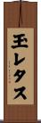 玉レタス Scroll