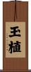 玉植 Scroll