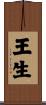王生 Scroll