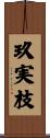 玖実枝 Scroll
