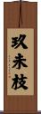玖未枝 Scroll
