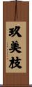 玖美枝 Scroll