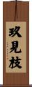 玖見枝 Scroll