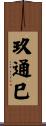 玖通巳 Scroll