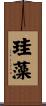 珪藻 Scroll