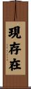 現存在 Scroll