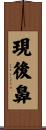 現後鼻 Scroll
