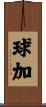 球加 Scroll