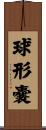 球形嚢 Scroll