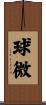 球微 Scroll