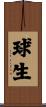 球生 Scroll