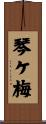 琴ケ梅 Scroll