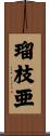 瑠枝亜 Scroll