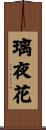 璃夜花 Scroll