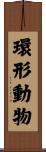 環形動物 Scroll