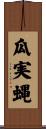 瓜実蝿 Scroll