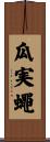 瓜実蠅 Scroll