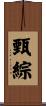 甄綜 Scroll
