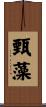 甄藻 Scroll