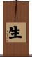 Birth / Life Scroll