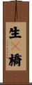 生々橋 Scroll