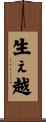 生ぇ越 Scroll