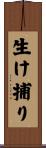 生け捕り Scroll