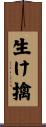 生け擒 Scroll