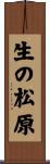 生の松原 Scroll