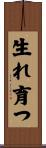 生れ育つ Scroll