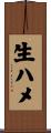 生ハメ Scroll