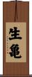 生亀 Scroll