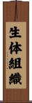 生体組織 Scroll