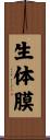 生体膜 Scroll