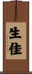 生佳 Scroll