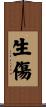 生傷 Scroll