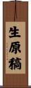 生原稿 Scroll