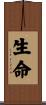 Life Force Scroll