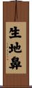 生地鼻 Scroll