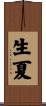 生夏 Scroll