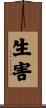 生害 Scroll