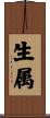 生属 Scroll