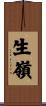 生嶺 Scroll