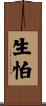 生怕 Scroll