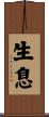 生息 Scroll
