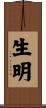 生明 Scroll